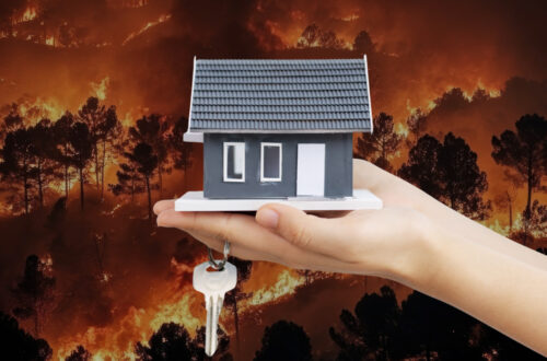 A model house rests on a hand against a backdrop of a large wildfire.