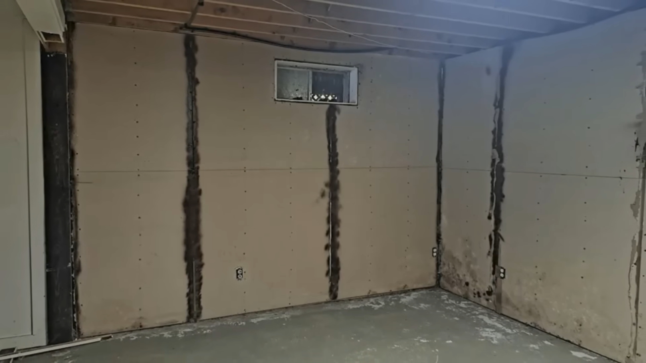 Dark mold stains cover the walls of an unfinished basement.