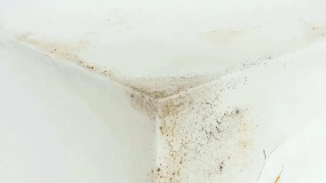Black mold spreads across the upper corner of a white wall and ceiling.