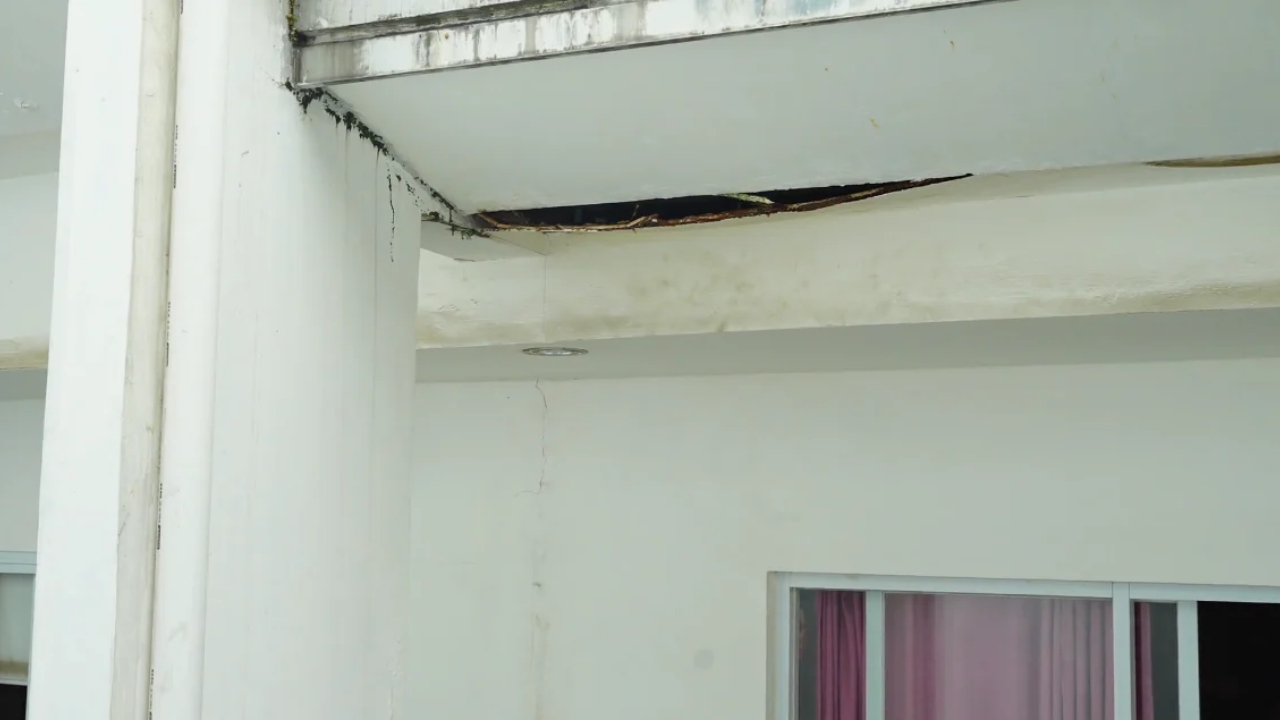 Black mold and water damage appear along a cracked ceiling above a window.